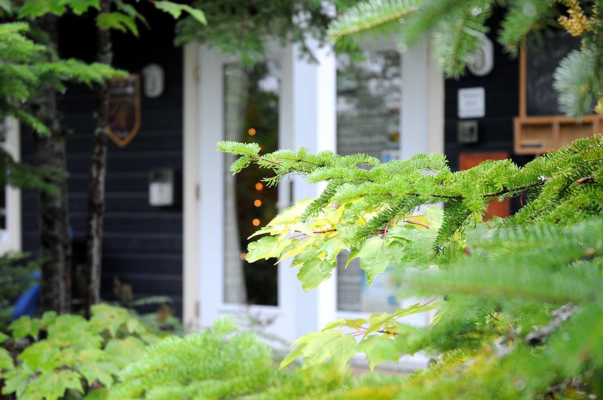 Maison De Vebron L'Anse-Saint-Jean Exterior photo